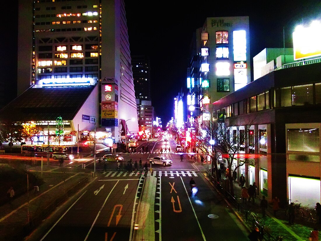 File:中野駅北口コンコースから臨む中野通り.JPG