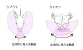 2016年6月25日 (土) 11:33時点における版のサムネイル