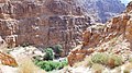 05 Wadi Mujib Malaqi Trail - A View of the Valley at the Beginning of the Trail - panoramio.jpg