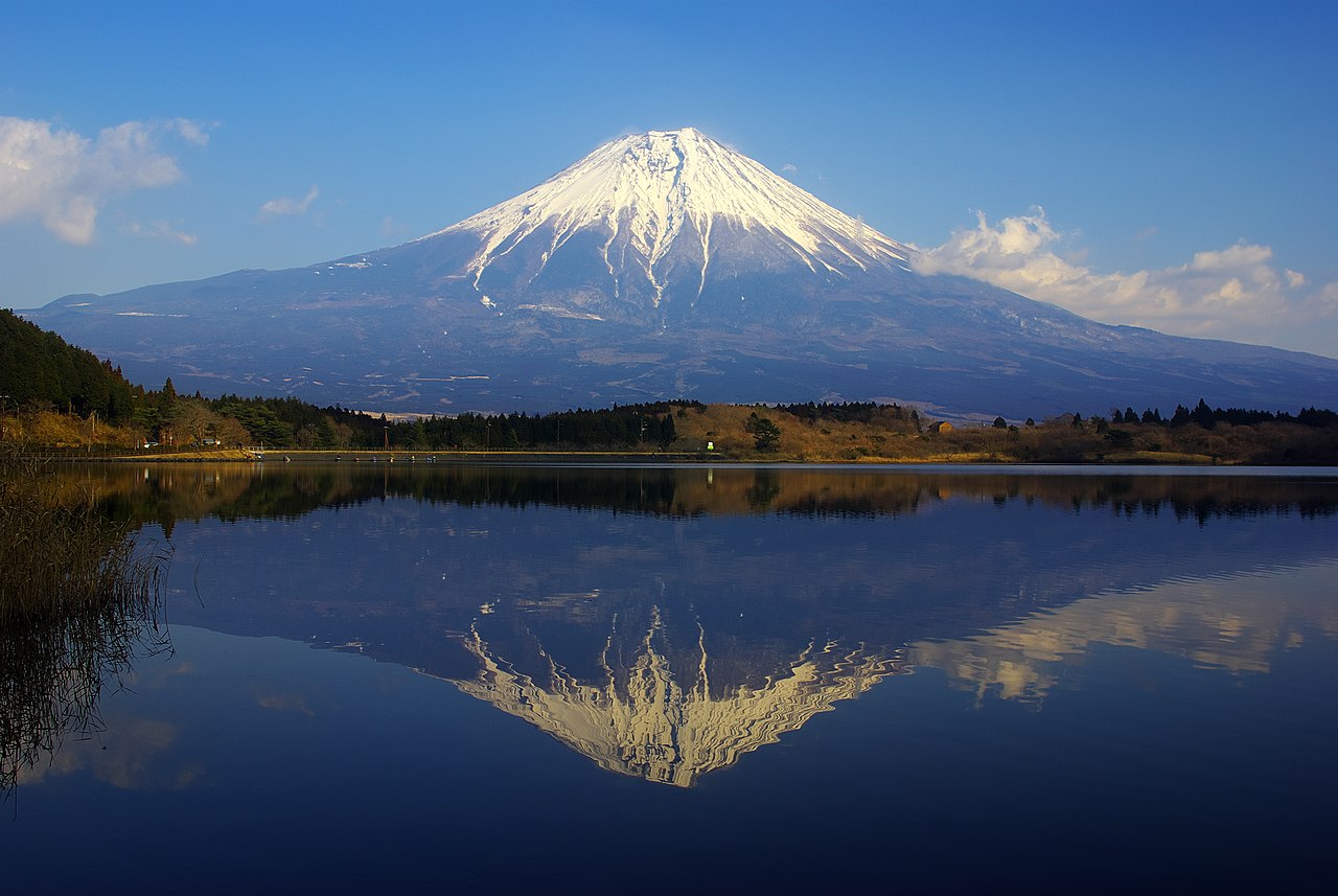 ファイル Tanuki Fuji Jpg Wikipedia