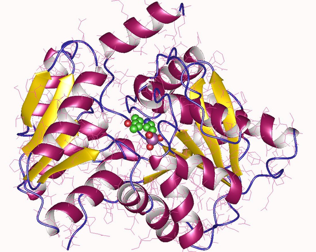 L-serine ammonia-lyase