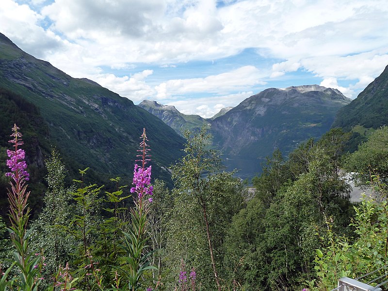 File:2010-08-05 - Von Geiranger zum Dalsnibba im Sommertal - panoramio.jpg