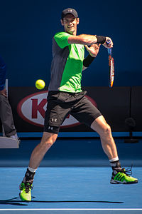 2015 Australian Open - Andy Murray 5.jpg