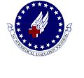 Patch of the 21st Aeromedical Evacuation Squadron.