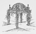 Treláž podobná úpravám, které lze vidět v Sansoucci. Obrázek z knihy Ch. Hendersona, Henderson's picturesque gardens and ornamental gardening illustrated.