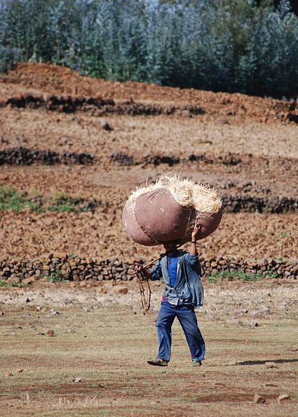 File:A farmer carrying hay from the fields to his home, Amhara, Ethiopia, April 2011 (8406383290).jpg