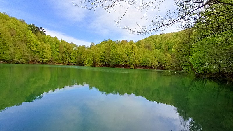 File:A lake that is surrounded by green trees in Yedigöller National Park.jpg