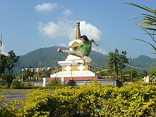 A man practising kung fu (Itanagar, Arunachal Pradesh).jpg
