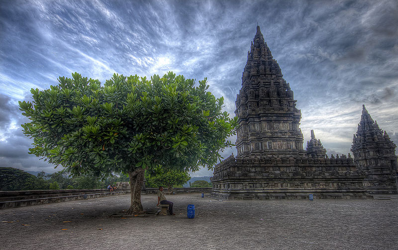 File:A tree at Prambanan (6995049605).jpg
