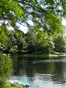 McLaren Falls Park, on the outskirts of Tauranga