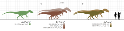 Thumbnail for File:Allosaurus size comparison-ar.png