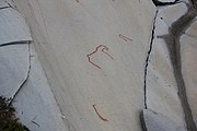 English: Rock art in the world heritage area in Alta, Norway. This is from the area Bergbukten 1, a group of some 900 figures. 23-25 m above sea level, and 6000-7000 years old.