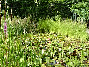 Botanische Garten Der Georg August Universitat Biologie