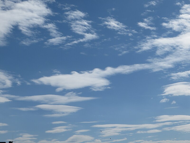 File:Altocumulus lenticularis fluctus II.jpg