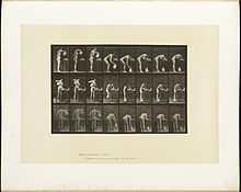 Locomotion animale. Plaque 413 (Bibliothèque publique de Boston) .jpg