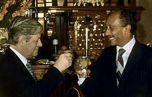 Helmut Schmidt: Leben, Politische Karriere, Politische Positionen