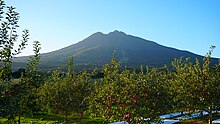Apple orchards in the foothills of Mount Iwaki Apple orchard and Mt. Iwaki, autumn 2018.jpg