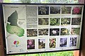 Arboretum Lisičine - ploča na ulazu s kartom i slikama istaknutih kutivara