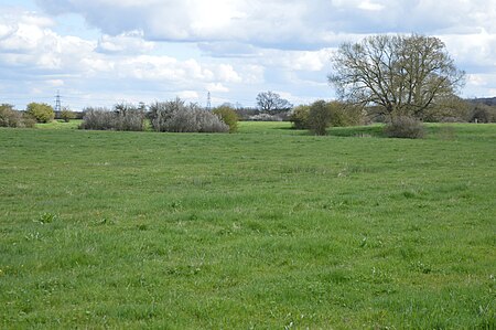 Arncott Bridge Meadows 5