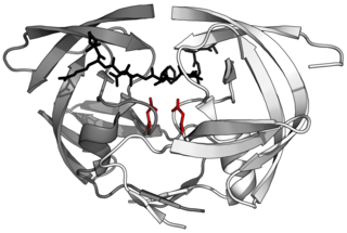 Aspartic protease class of enzymes