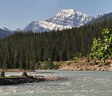 Athabasca River Mt Edith Cavell.jpg