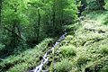 Wasserfälle zum Autal unterhalb der Brunnensteighöhle bei Aufhausen (Geislingen a.d. Steige)