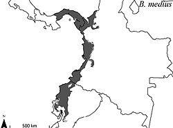 Área de distribución de Bassaricyon medius.
