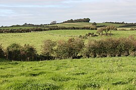 Ballynoe (49), September 2009.JPG