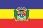 Bandeira de Bicas.png