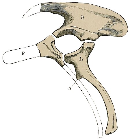 Barilium