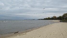 Bay City State Park beach.jpg