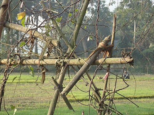 Beautiful Nature Barura Upazila, Bangladesh