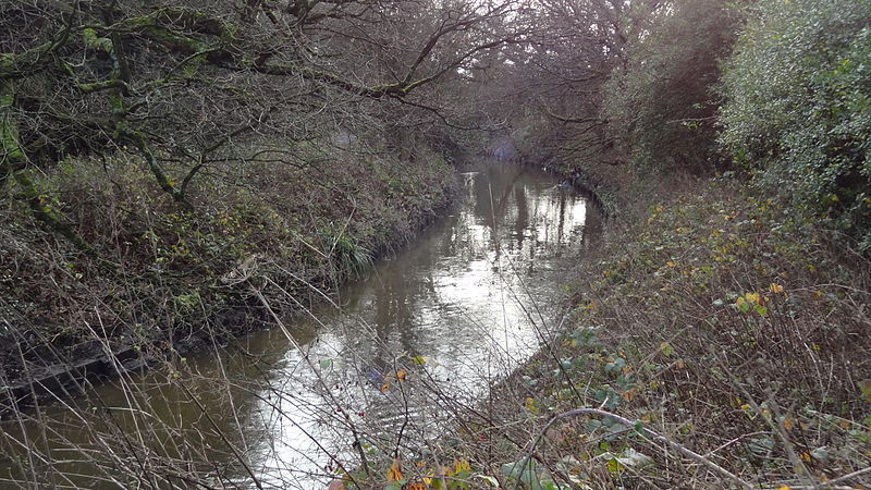 File:Beverley Brook 3.JPG