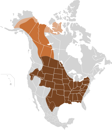 Original distribution of plains bison and wood bison in North America along the 