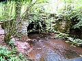 Bridge_near_Pwllglas_at_Craigadwywynt_and_Coed_Cilgroeslwyd_SSSI;_Dyffryn_Clwyd,_Sir_Ddinbych,_Cymru_(Wales)_113