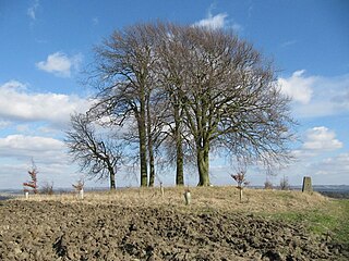 <span class="mw-page-title-main">Brightwell Barrow</span> Bronze Age round barrow in Oxfordshire, England