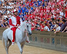 Jockey of the Contrada della Giraffa at the Palio di Siena. Brio on Fedora Saura - August 2011 - 4.jpg