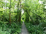 Brundall Church Fen