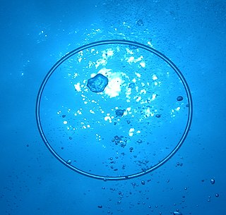 <span class="mw-page-title-main">Bubble ring</span> Toroidal vortex ring of air in water