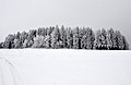 Burgbühl im Winter, Tanneck (Obernheim).jpg