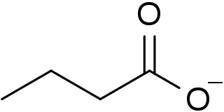 Butyrate salt or ester of butyric acid