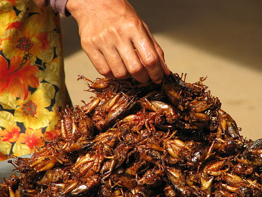 Cambodia 08 - 035 - insects for snacks at the market (3198822589)