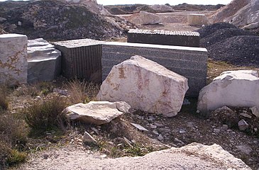 Bloque de caliza, en detalle.