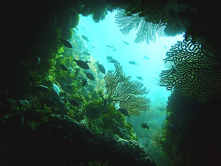 The swimthrough cave at the North Pinnacle