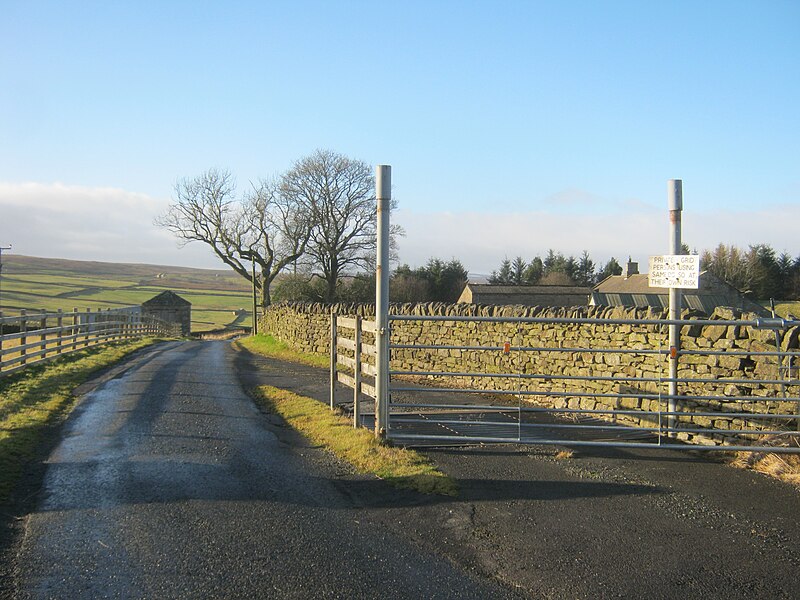 File:Cattle grid on Kelton Lane - geograph.org.uk - 3259361.jpg