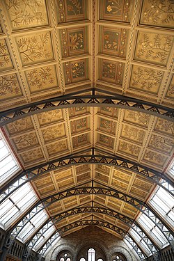 Ceilings of the Natural History Museum, London