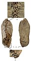 9 December: Chalcolithic leather shoe from the Areni-1 cave.