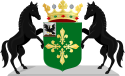 Wappen der Gemeinde Midden-Drenthe