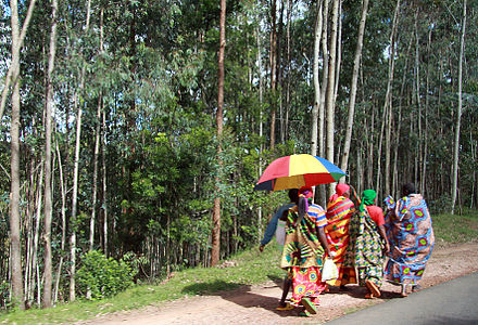 Village road in Burundi