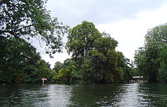 Upstream tip of Formosa Island between Odney weir stream and Cookham Mill stream CookhamChannels01.JPG